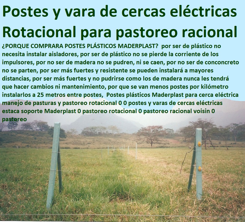 Postes plásticos Maderplast para cerca eléctrica manejo de pasturas y pastoreo rotacional 0 0 postes y varas de cercas eléctricas estaca soporte Maderplast 0 pastoreo rotacional 0 pastoreo racional voisin 0 pastoreo Postes plásticos Maderplast para cerca eléctrica manejo de pasturas y pastoreo rotacional 0 0 postes y varas de cercas eléctricas estaca soporte Maderplast 0 pastoreo rotacional 0 pastoreo racional voisin 0 pastoreo Postes plásticos Maderplast para cerca eléctrica manejo de pasturas y pastoreo rotacional 0 0 postes y varas de cercas eléctricas estaca soporte Maderplast 0 pastoreo rotacional 0 pastoreo racional voisin 0 pastoreo